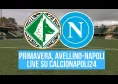 Primavera 2 Avellino-Napoli, diretta su CalcioNapoli24 TV: quando si gioca e dove vedere la partita