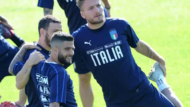 Insigne Immobile