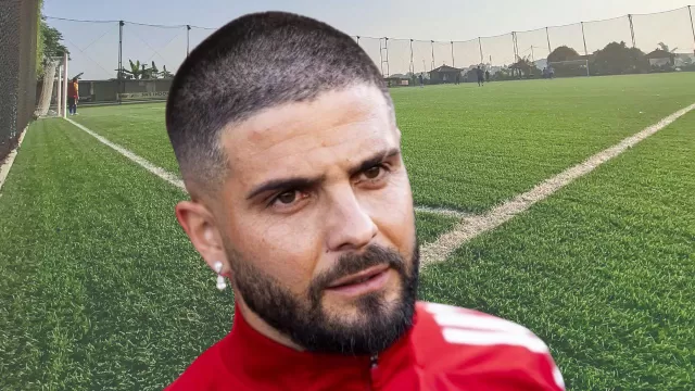 Insigne