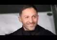 Salta il Napoli, Tedesco sull'espulsione: "Chiedo scusa: comportamento non consono"