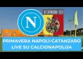 Primavera 2 Napoli-Catanzaro, diretta su CalcioNapoli24 TV: quando si gioca e dove vedere la partita