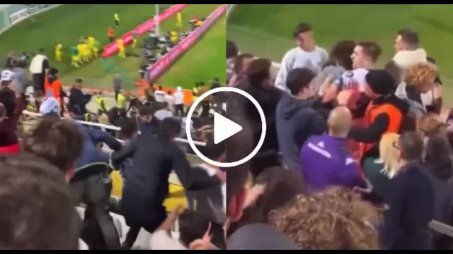 Fiorentina Inter tifoso picchiato