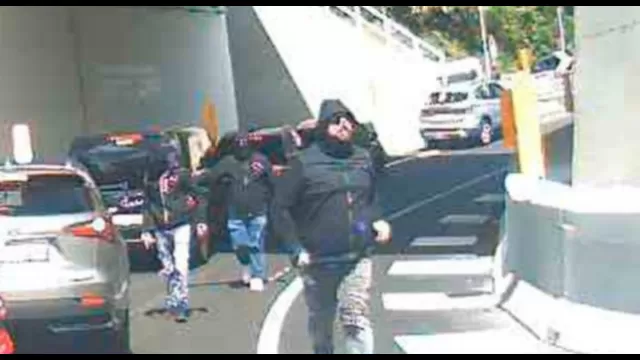 Ultras Napoli Varese